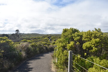 Fototapeta na wymiar Path in the countryside near great ocean road