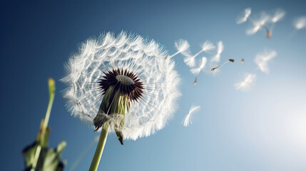Dandelion with seeds blowing away in the wind across a clear blue sky, generative ai - obrazy, fototapety, plakaty