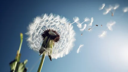 Foto op Aluminium Dandelion with seeds blowing away in the wind across a clear blue sky, generative ai © Petru