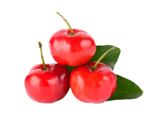 Barbados cherry on transparent png