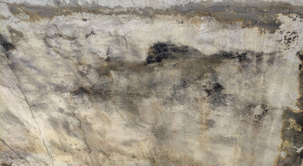 The dirty cement wall for background.