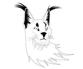 Cat vectors with a cool and attractive style are suitable for additional material in content to make it more interesting