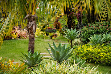 Naturaleza de Bolivia 
