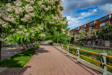 Primavera de hojas y flores  en la temporada de primavera