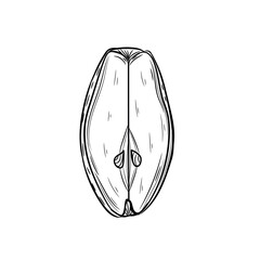 Piece of ripe pear on white background