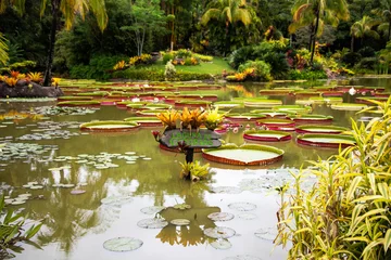 Poster de jardin  Naturaleza Boliviana   © Manu28