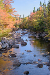 Canadian autumn colorful landscape with a river in the background.