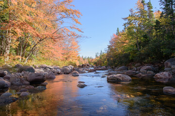 Canadian autumn colorful landscape with a river in the background.
