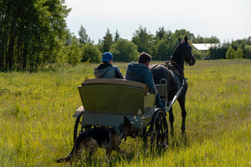 Teenager b man rides in a gig across a meadow in the rays of the setting sun.