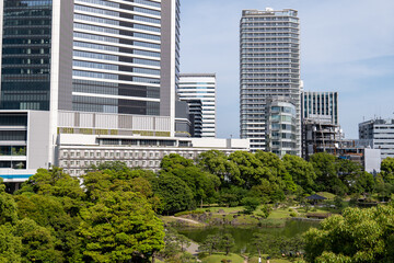 Obraz premium ビルと公園