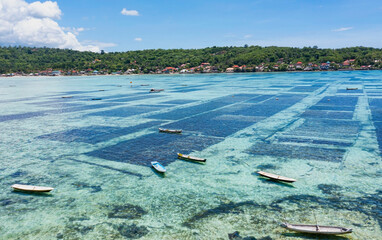 The farmland with seaweed farming  background in Bali, Indonesia © SASITHORN