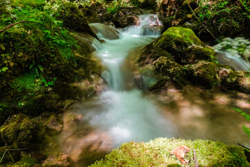 amazing colorful soft flowing little waterfall with green plants in a forest
