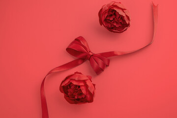 Red rose on red background