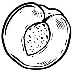 Black line art peach fruit illustration