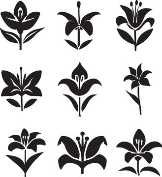set of tree plant vector illustration group