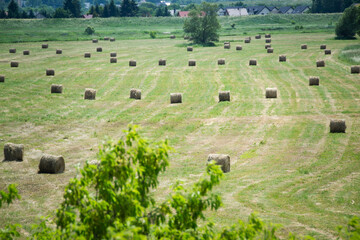 Fototapeta premium Some hay bales with green background.