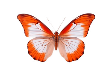 Fototapeta na wymiar Beautiful and Rare Butterfly on a Transparent Background. Generative AI