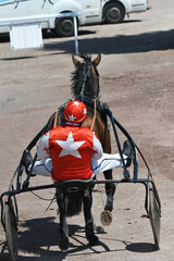 course de chevaux en trot attelé