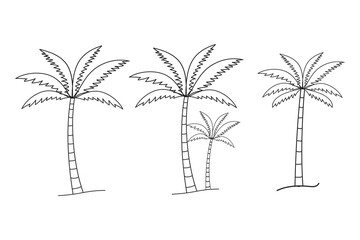 
set of hand-drawn line art palm trees vector, summer sunset Tropical beach palm tree vector silhouette, summer beach element, line art coconut tree vector illustration, natural Palm tree Art 

