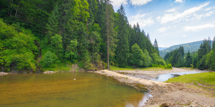 nature scenery with mountain river. green environment background with stones on the shore and forested hills
