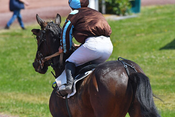 course de cheeevaux en trot monté
