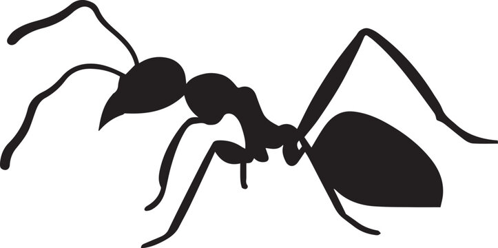 the ant vector silhouette illustration