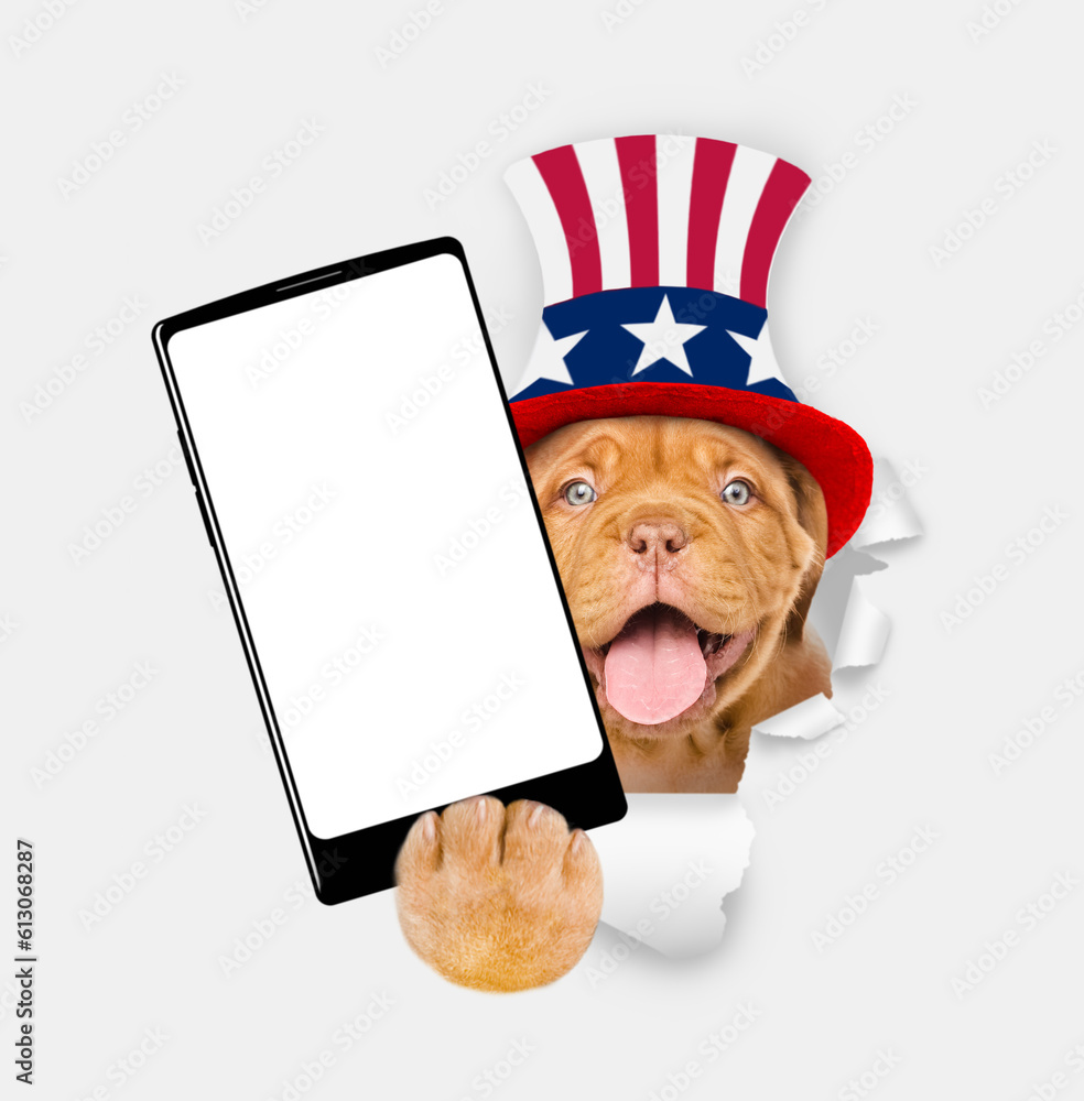 Poster happy mastiff puppy wearing like uncle sam looking through a hole in paper and showing big smartphon