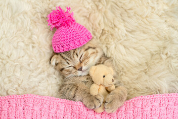 Cozy tiny fold tabby kitten wearing warm hat sleeps under warm plaid with favorite toy bear on the...