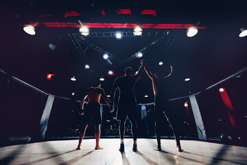 Winner MMA, Victory boxer fight battles without rules in cage octagon. Sport advertising