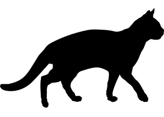 Aegean cat silhouette cat breeds vector 