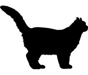 American Curl cat silhouette cat breeds vector 