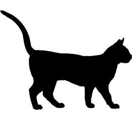 Bengal cat silhouette cat breeds vector 