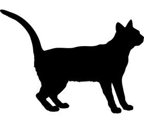 Bombay cat silhouette cat breeds vector 