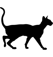 Colorpoint Shorthair cat silhouette cat breeds vector 
