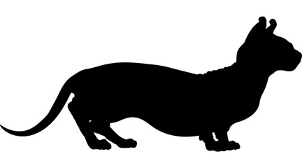 Dwelf. cat silhouette cat breeds vector 