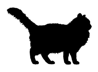 British Longhair cat silhouette cat breeds vector 