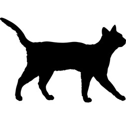 California Spangled cat silhouette cat breeds vector 