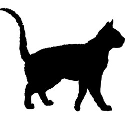  German Rex cat silhouette cat breeds vector 