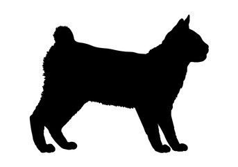 Japanese Bobtail cat silhouette cat breeds vector 