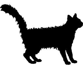 LaPerm cat silhouette cat breeds vector 