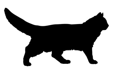 Norwegian Forest cat silhouette cat breeds vector 