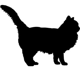 Birman cat silhouette cat breeds vector 