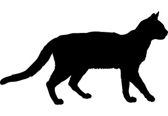 Serrade Petit cat silhouette cat breeds vector 