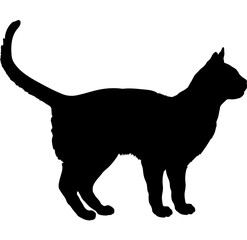Singapura cat silhouette cat breeds vector 