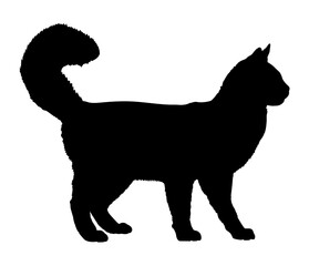 Turkish Angora cat silhouette cat breeds vector 