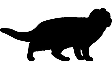 Scottish Fold cat silhouette cat breeds vector 