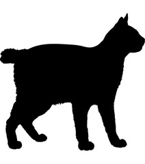 Toybob cat silhouette cat breeds vector 