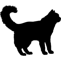 Van cat silhouette cat breeds vector 