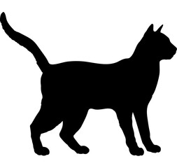  Russian Blue cat silhouette cat breeds vector 