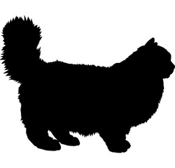 Ragdoll cat silhouette cat breeds vector 